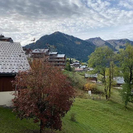 Chaleureux Et Calme A Chatel, Proche Centre, Avec Coin Montagne, Parking Et Balcon - Fr-1-693-113 *