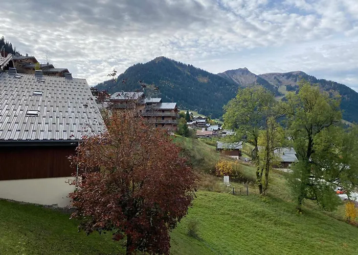 Chaleureux Et Calme A Chatel, Proche Centre, Avec Coin Montagne, Parking Et Balcon - Fr-1-693-113 *